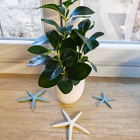 Riva Star Apartamento *